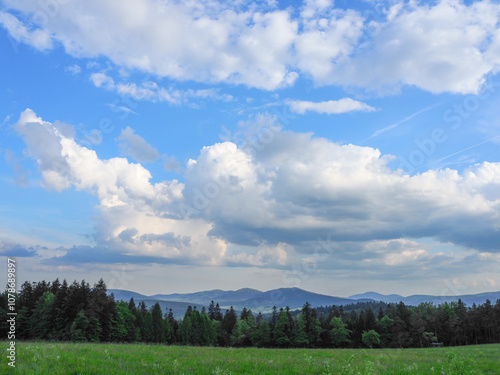 202405_Poland - Nowica, Gorlicie - grazing grass in bucolic countryside in the nature of Gorlicie, with the Tatras Mountains in the background