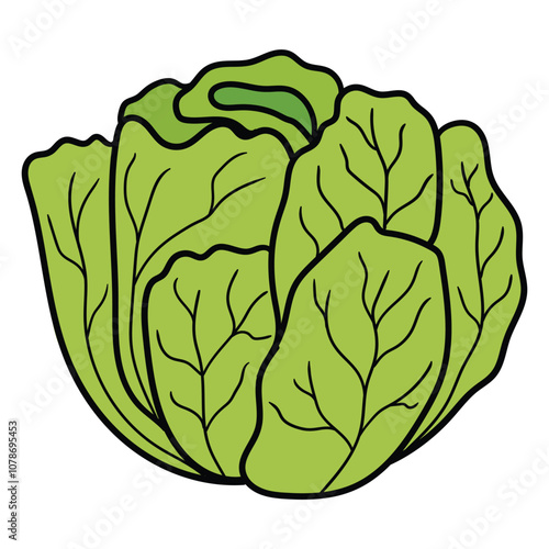 Hand drawn cartoon cabbage on white background.