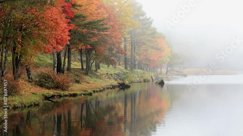 霧の湖畔の紅葉と映り込み1