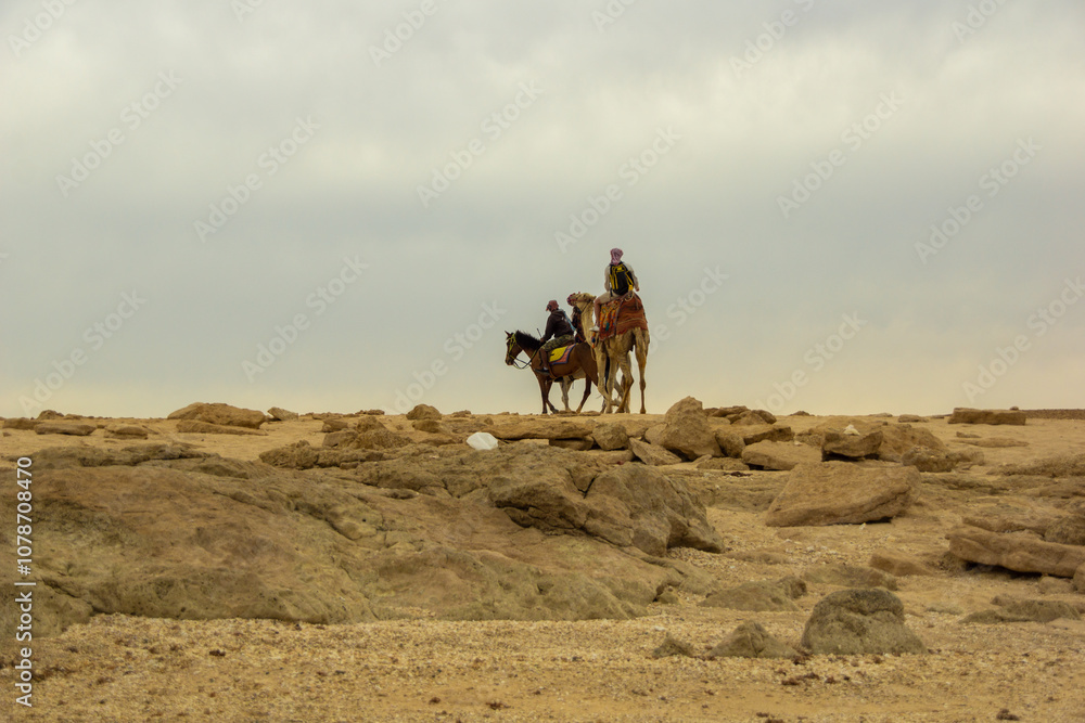 Fototapeta Karawana na pustyni. Egipt. Marsa Alam. 