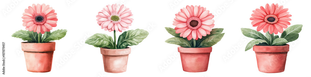 Vibrant Gerbera Daisies in Terracotta Pots Showcasing the Beauty of Floral Decor for Home and Office Spaces Vibrant Gerbera Daisies in Terracotta Pots Showcasing the Beauty of Floral Decor for Home and Office Spaces