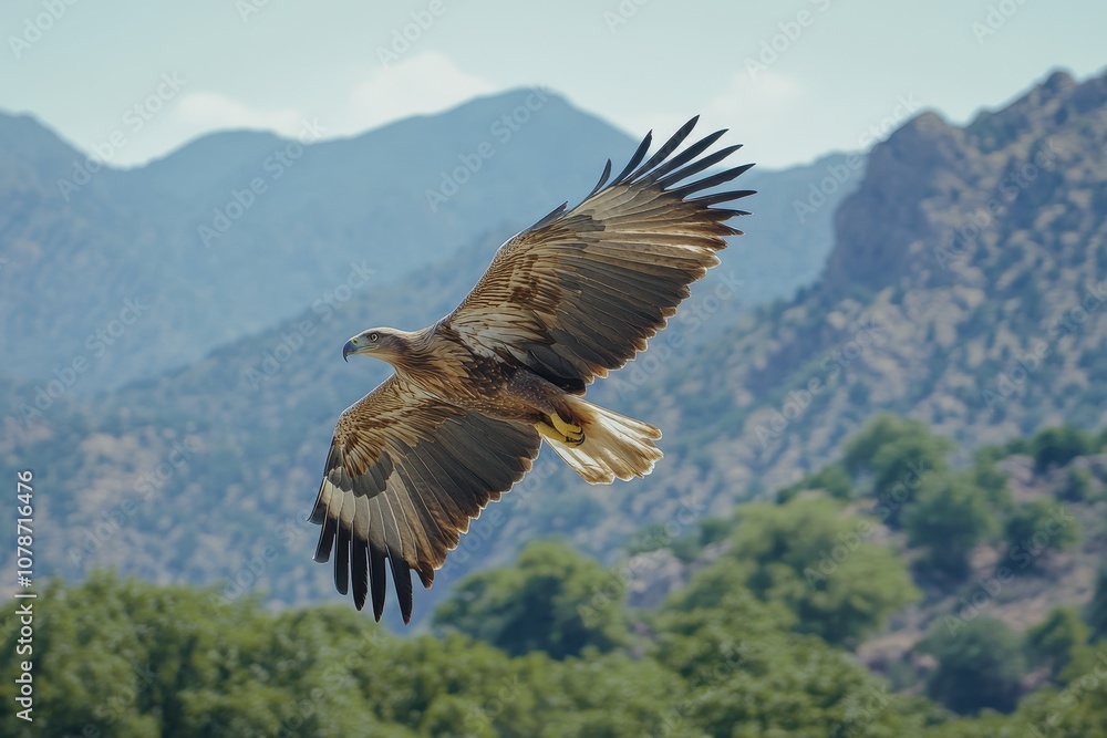 Fototapeta premium Majestic Eagle in Flight Over Mountain Range