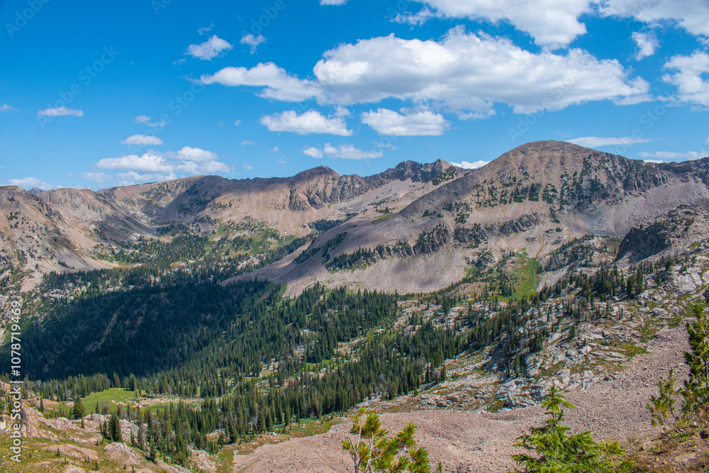 Naklejka premium Targhee National Forest from summit of Table Mountain