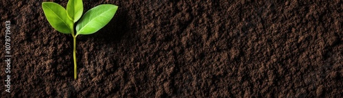 A small green plant emerging from rich, dark soil, symbolizing growth and nature.