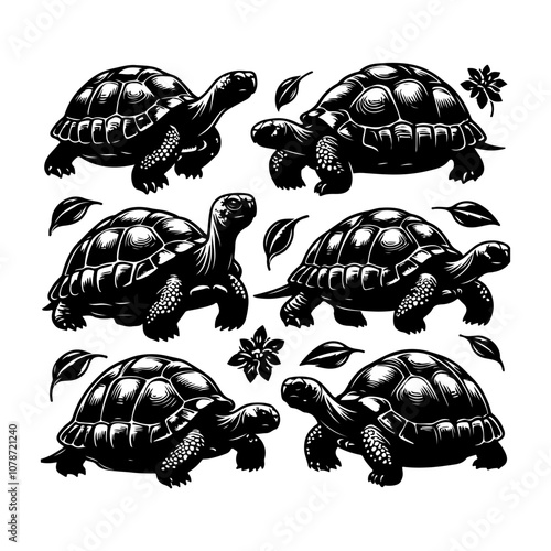 Tortoise icon vector. Tortoise collection silhouette vector on a white background