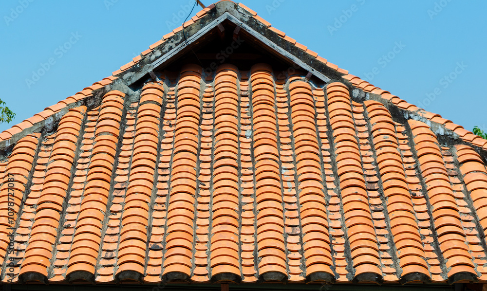 Naklejka premium tiles on roof