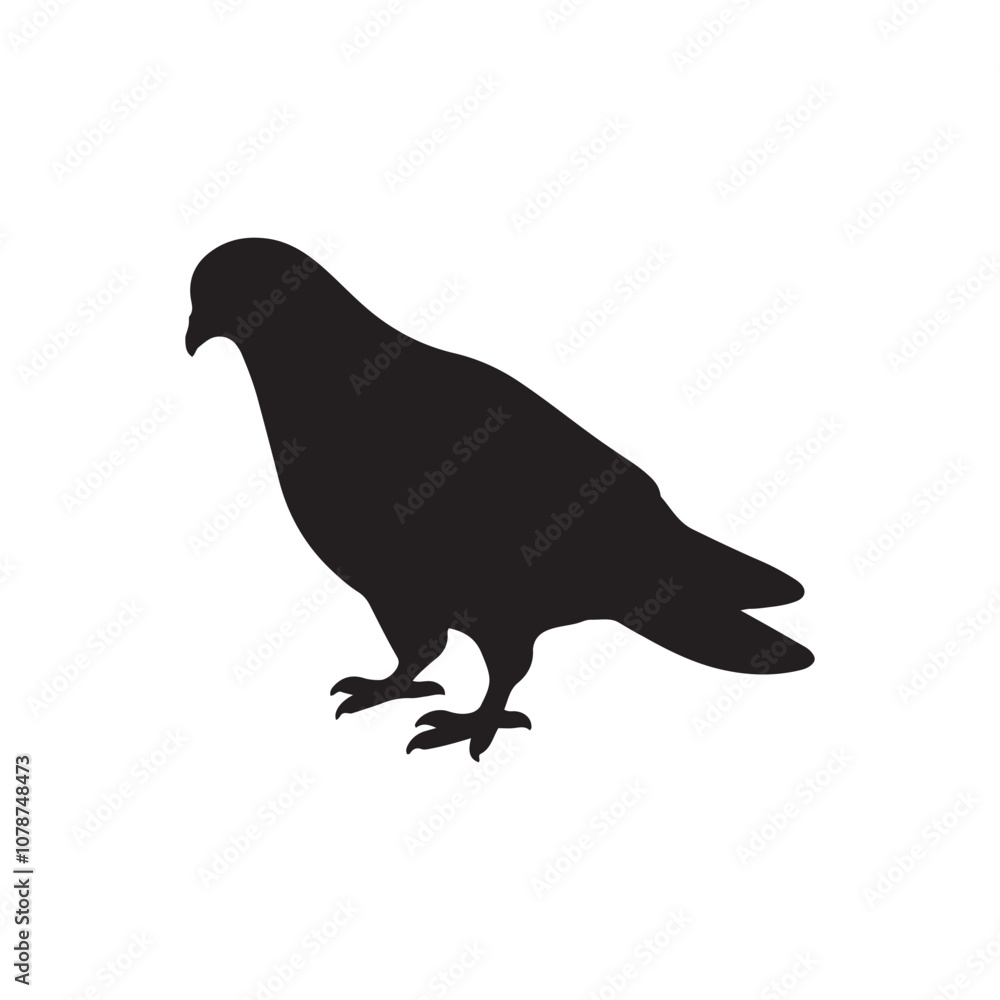 Fototapeta premium illustration of a pigeon silhouette vector art Illustration, Beautiful bird pigeon silhouette black icon vector art illustration