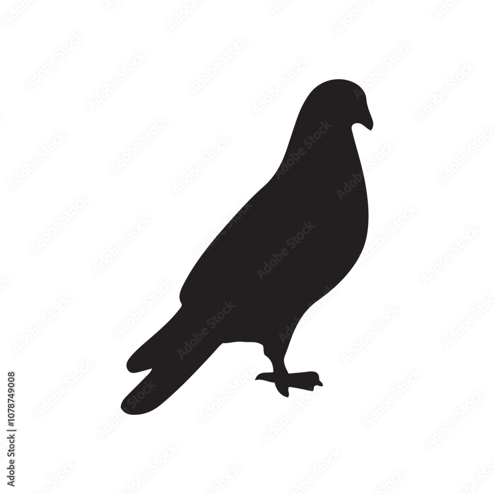 Obraz premium illustration of a pigeon silhouette vector art Illustration, Beautiful bird pigeon silhouette black icon vector art illustration