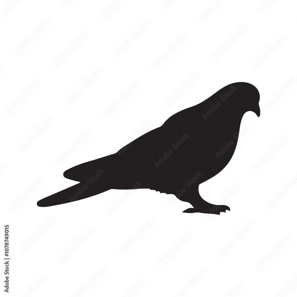 illustration of a pigeon silhouette vector art Illustration, Beautiful bird pigeon silhouette black icon vector art illustration illustration of a pigeon silhouette vector art Illustration, Beautiful bird pigeon silhouette black icon vector art illustration