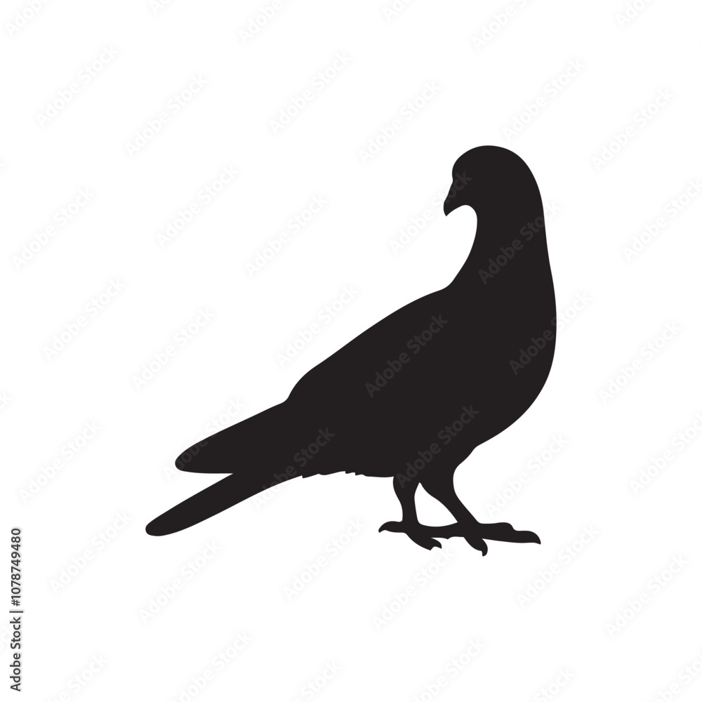 Obraz premium illustration of a pigeon silhouette vector art Illustration, Beautiful bird pigeon silhouette black icon vector art illustration
