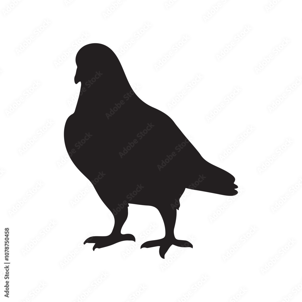 illustration of a pigeon silhouette vector art Illustration, Beautiful bird pigeon silhouette black icon vector art illustration illustration of a pigeon silhouette vector art Illustration, Beautiful bird pigeon silhouette black icon vector art illustration