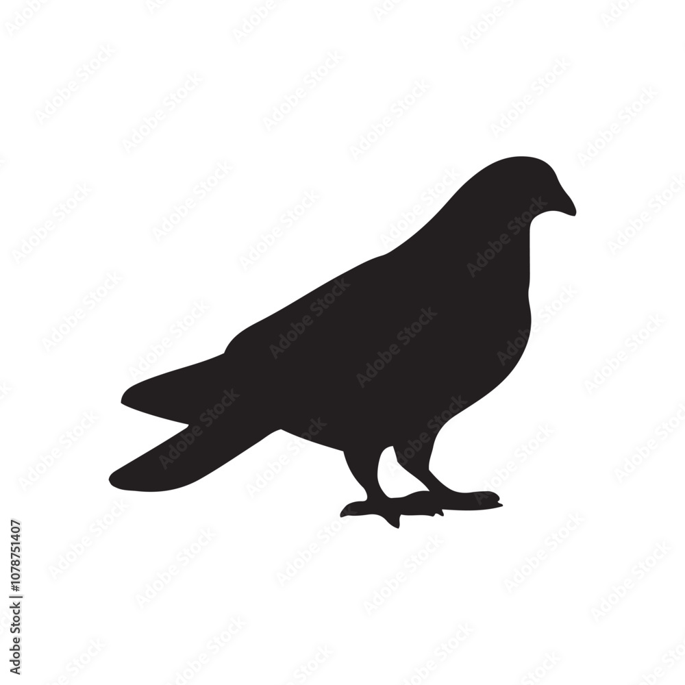 Fototapeta premium illustration of a pigeon silhouette vector art Illustration, Beautiful bird pigeon silhouette black icon vector art illustration