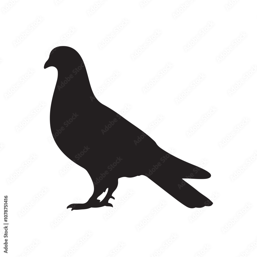 Fototapeta premium illustration of a pigeon silhouette vector art Illustration, Beautiful bird pigeon silhouette black icon vector art illustration