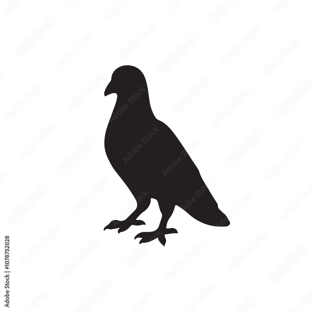 Obraz premium illustration of a pigeon silhouette vector art Illustration, Beautiful bird pigeon silhouette black icon vector art illustration