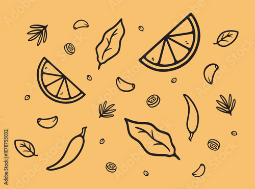 Spices and herbs. Vector of hand drawn  with basil, garlic, bay leaves, chili pepper, rosemary.