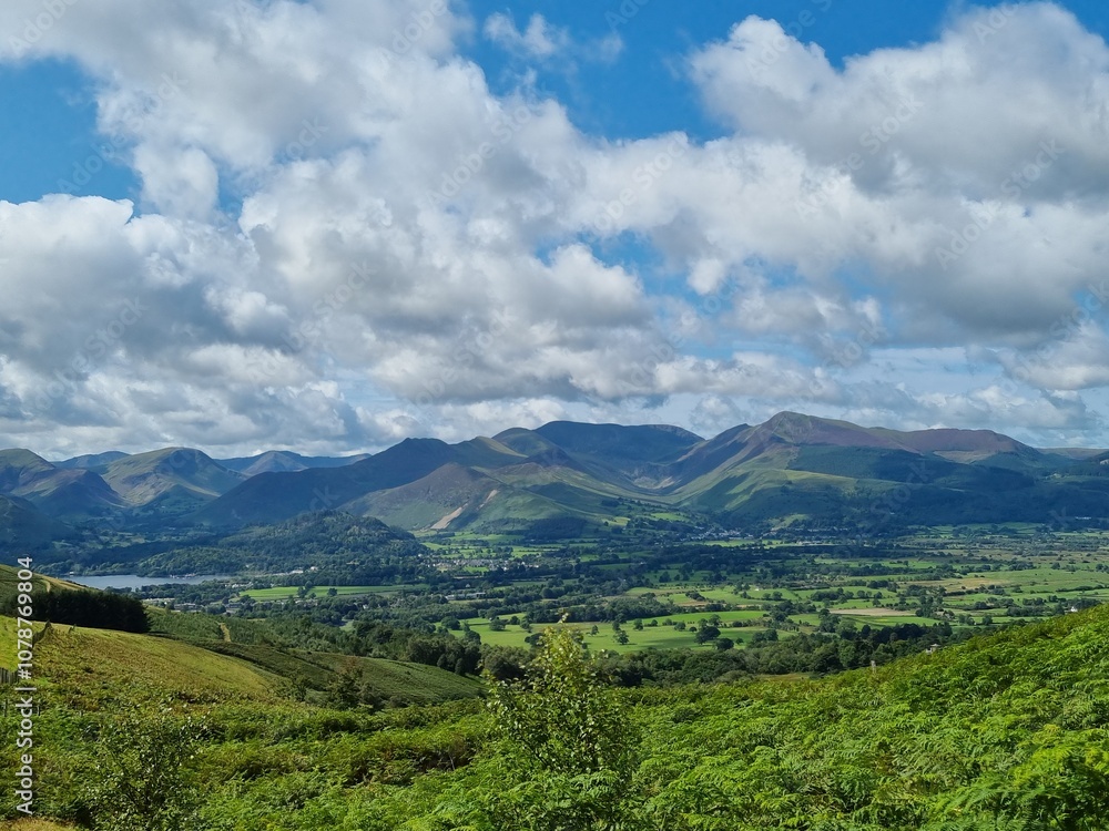 Fototapeta premium beautiful view