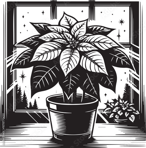 Classic Poinsettia in Windowsill. A striking black and white woodcut illustration of a poinsettia plant in a terracotta pot, sitting on a windowsill.