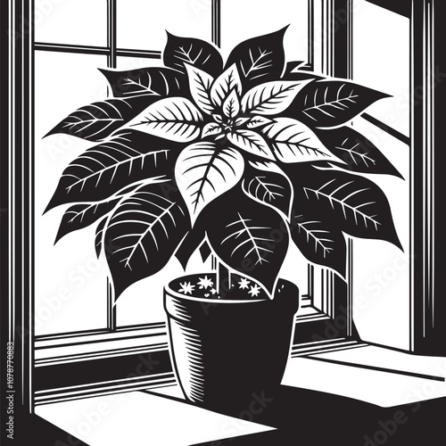 Classic Poinsettia in Windowsill. A striking black and white woodcut illustration of a poinsettia plant in a terracotta pot, sitting on a windowsill.