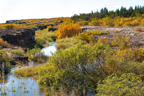 National park, Thingvellir, in Iceland, at autumn,