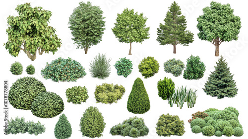 A collection of different types of bushes and trees