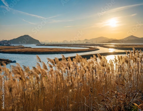 The Spectacular View of Suncheon Bay in South Korea, Where Golden Reed Fields Meet the Winding Estuary and the Setting Sun Bathes the Marshlands in a Warm, Dreamlike Glow photo