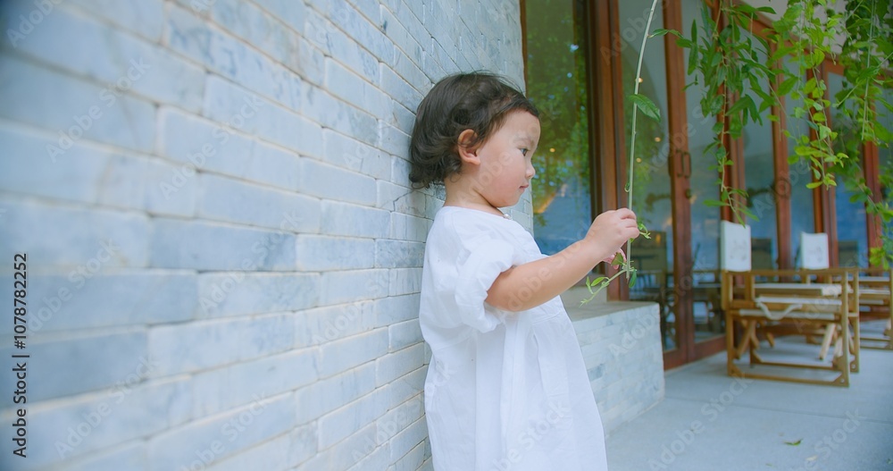Cute child girl in a white dress Posing stands by a stone wall with Green Leaves, child exudes innocence and charm. adding a touch of nature to the serene Cute child girl in a white dress Posing stands by a stone wall with Green Leaves, child exudes innocence and charm. adding a touch of nature to the serene