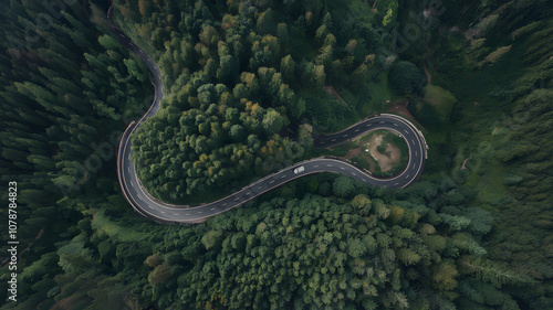 Aerial View of a Winding Road Through Lush Green Forest