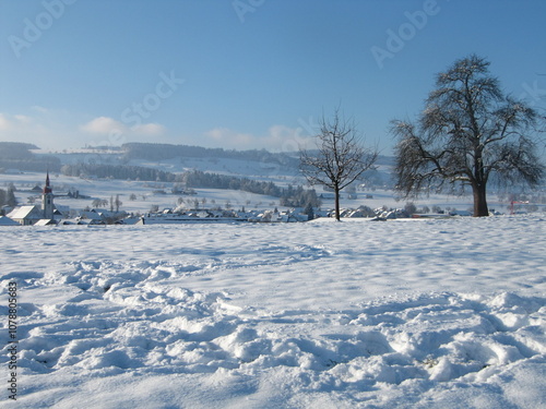 winter ladscape photo