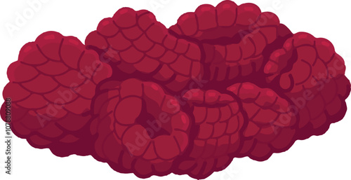Hand drawn fresh raspberries. Red berries icon