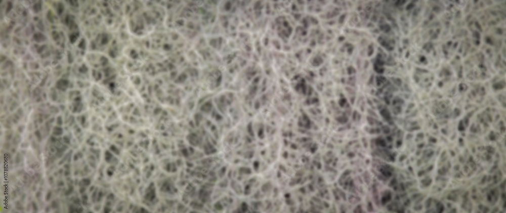 blurred background, lines of tree roots blurred background, lines of tree roots