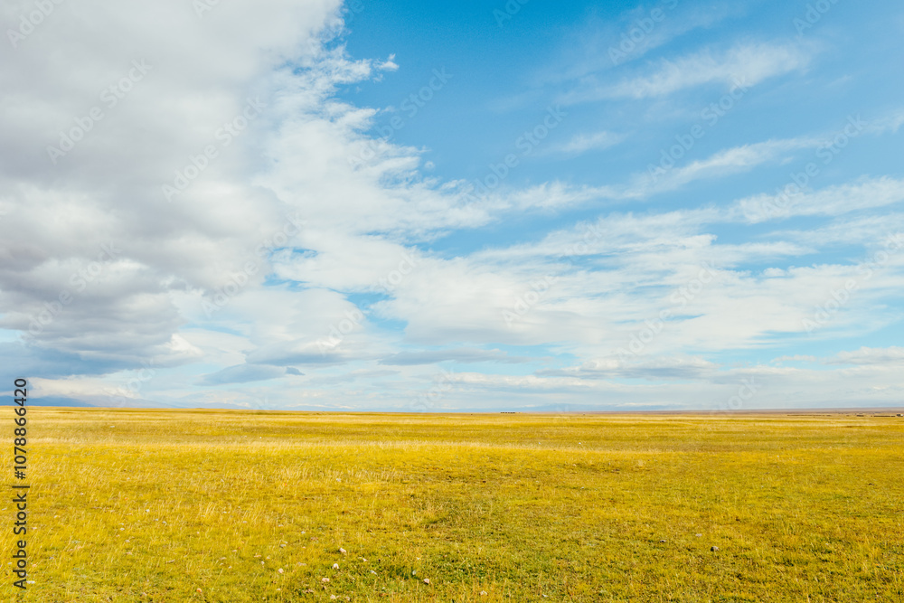 beautiful landscape of Bayanbulak Grassland along Duku Highway(Rd. G217) in autumn season at Korla, Xinjiang, China beautiful landscape of Bayanbulak Grassland along Duku Highway(Rd. G217) in autumn season at Korla, Xinjiang, China