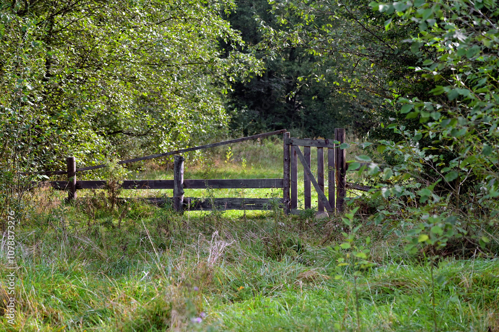 Traditional rural wooden gate with wicket in the forest Traditional rural wooden gate with wicket in the forest