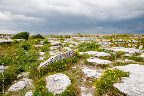 Burren National Park in Ireland, county Clare. Rough Irish nature. Beautiful landscape.