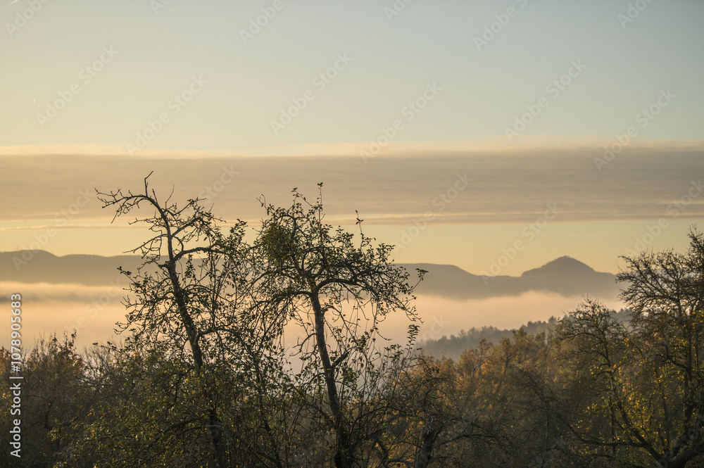 Obraz premium Kahle Bäume vor Bergkette der schwäbischen Alb mit Achalm mit Tiefnebel und Wolkenband am Himmel