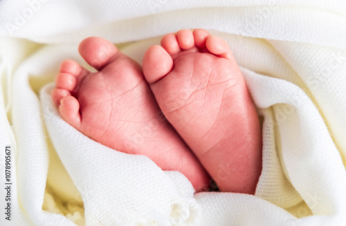 the feet of a newborn baby wrapped in heart-shaped cloth photo