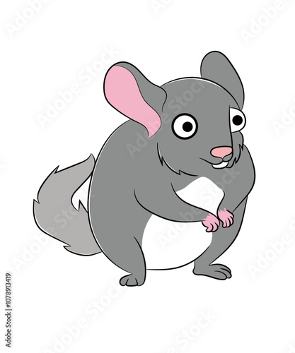 Chinchilla