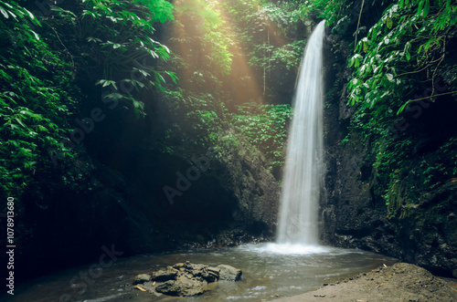 Obraz na płótnie Beautiful waterfall in tropical rainforest in Bali, Indonesia w salonie
