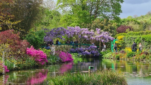 Fotografie Les étangs aux nénuphars de Giverny