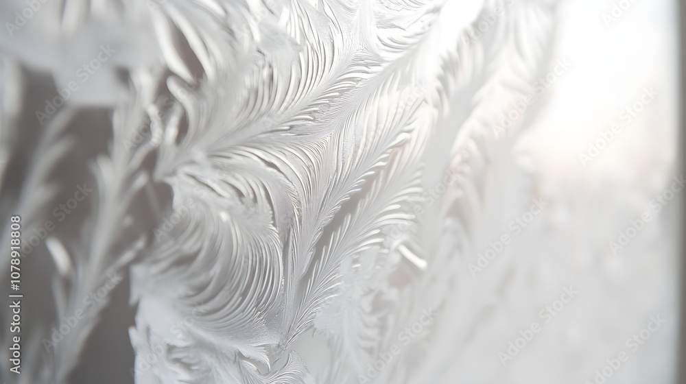 Clear patterns of frost create intricate designs on a glass window reflecting the beauty of winter's chill Clear patterns of frost create intricate designs on a glass window reflecting the beauty of winter's chill