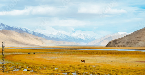 The wetland scenery of along National Highway G314 around Baisha Lake and Baisha Mountain on the Pamir Plateau in Xinjiang, China, during autumn photo