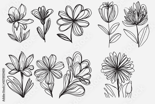 collection of elegant flower outline vector designs, featuring intricate and minimalist floral illustrations. Perfect for creating stylish logos, patterns, and decorative elements for various projects photo