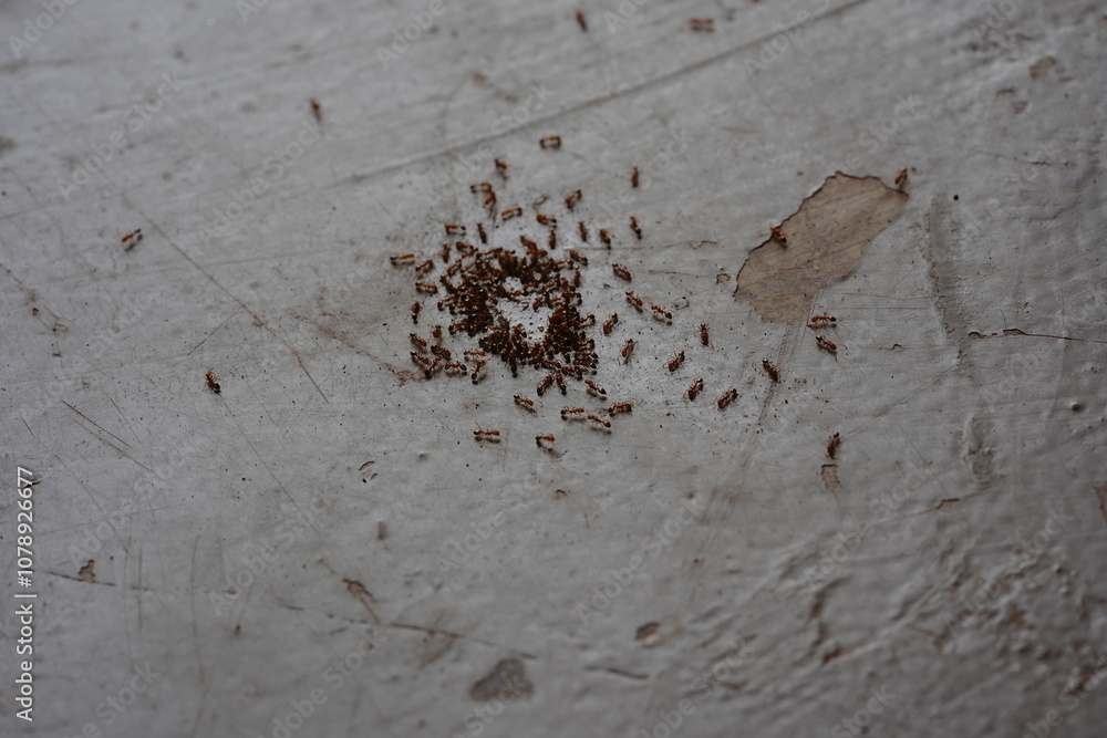 rusty metal background rusty metal background