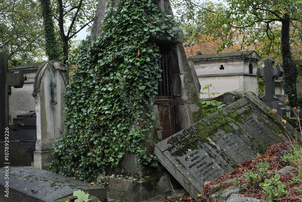 Variety of vegetation that is taking over an old cemetery. On tombstones, ground, stairs, paths... etc. Shot in the cemeteries of Montparnasse and Pere Lachaise (Paris, France). Variety of vegetation that is taking over an old cemetery. On tombstones, ground, stairs, paths... etc. Shot in the cemeteries of Montparnasse and Pere Lachaise (Paris, France).