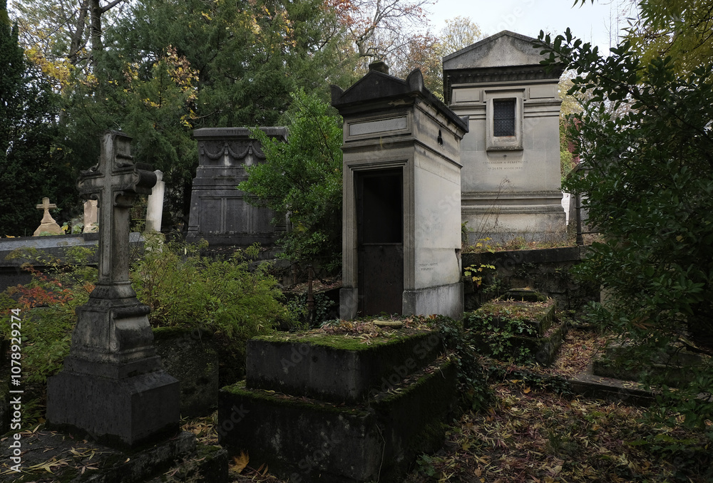 Variety of vegetation that is taking over an old cemetery. On tombstones, ground, stairs, paths... etc. Shot in the cemeteries of Montparnasse and Pere Lachaise (Paris, France). Variety of vegetation that is taking over an old cemetery. On tombstones, ground, stairs, paths... etc. Shot in the cemeteries of Montparnasse and Pere Lachaise (Paris, France).