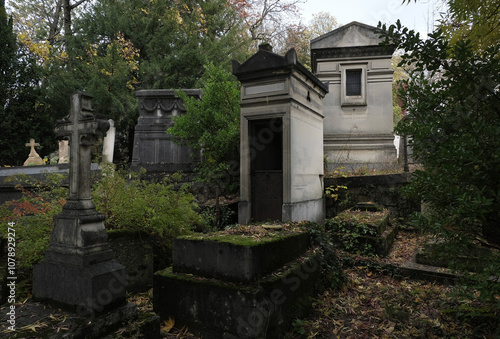 Variety of vegetation that is taking over an old cemetery. On tombstones, ground, stairs, paths... etc. Shot in the cemeteries of Montparnasse and Pere Lachaise (Paris, France).