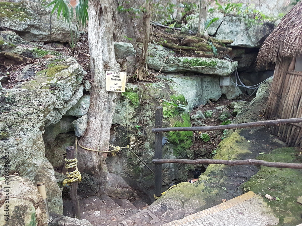 Entrée d'un cenote du Yucatán Entrée d'un cenote du Yucatán
