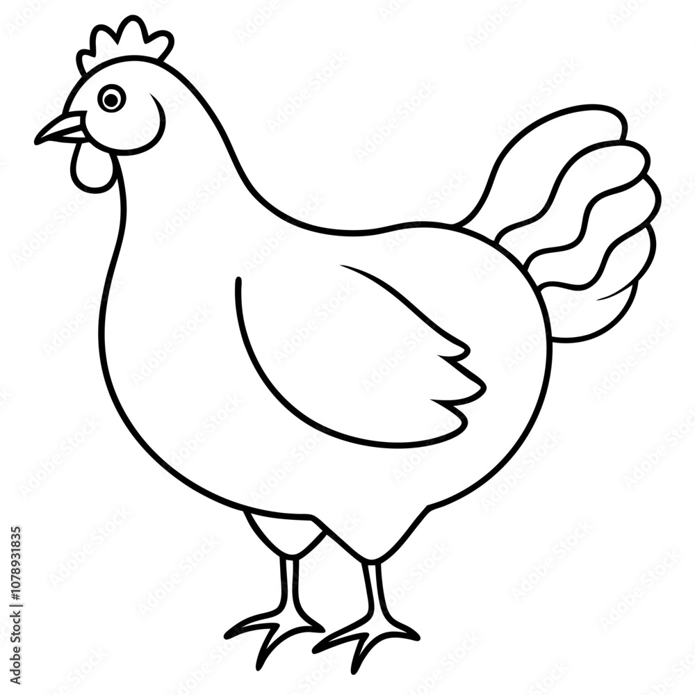 Chicken vector illustration. Chicken vector illustration.