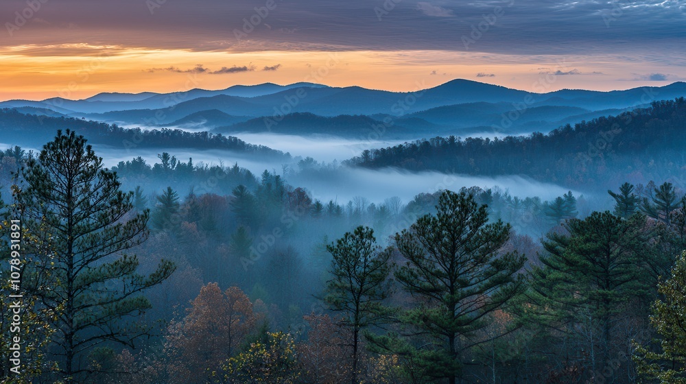 Obraz premium Misty Mountain Landscape at Sunrise with Lush Forests and Subtle Hues Transforming the Sky Above the Blue Ridge Mountains in Autumn Serenity