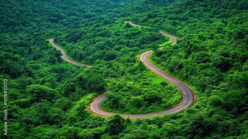 Curving Road Through Dense Green Forest Landscape Curving Road Through Dense Green Forest Landscape