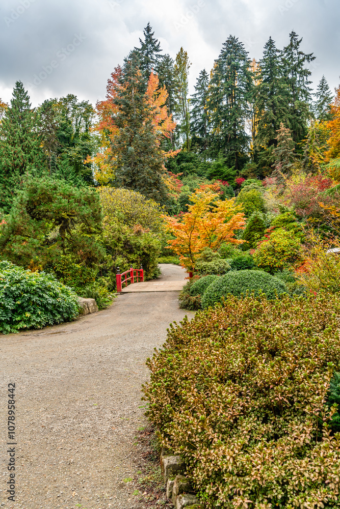 Kubota Gardens Autumn_Path